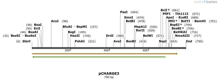 30638_map