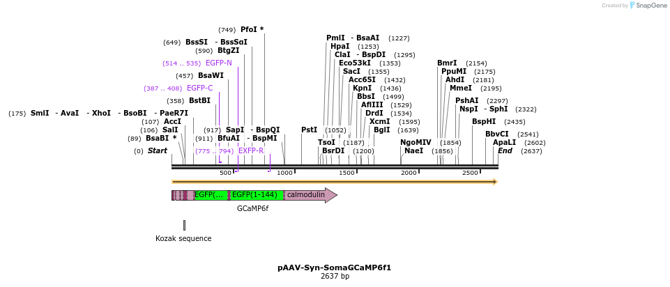 306404_map