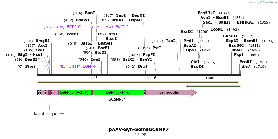 306408_map