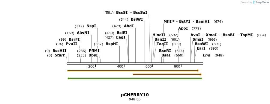 30642_map