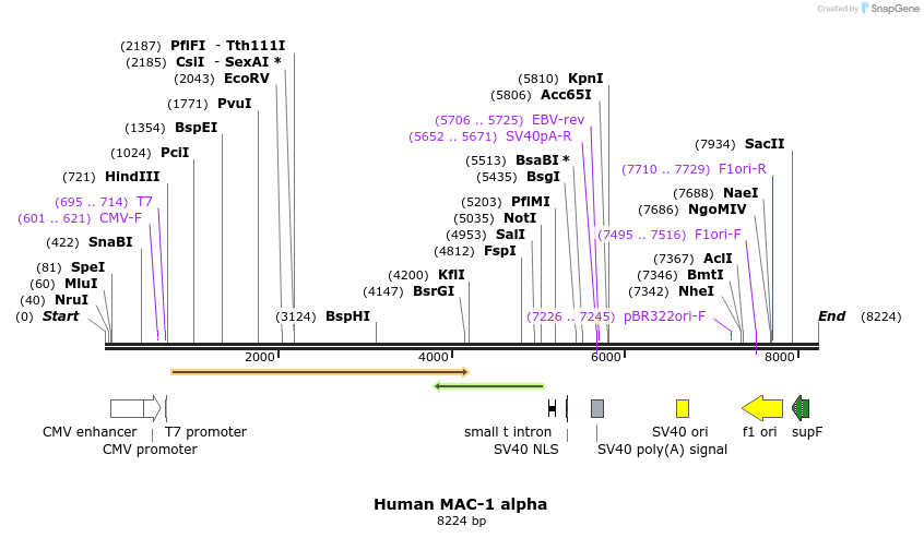 306423_map