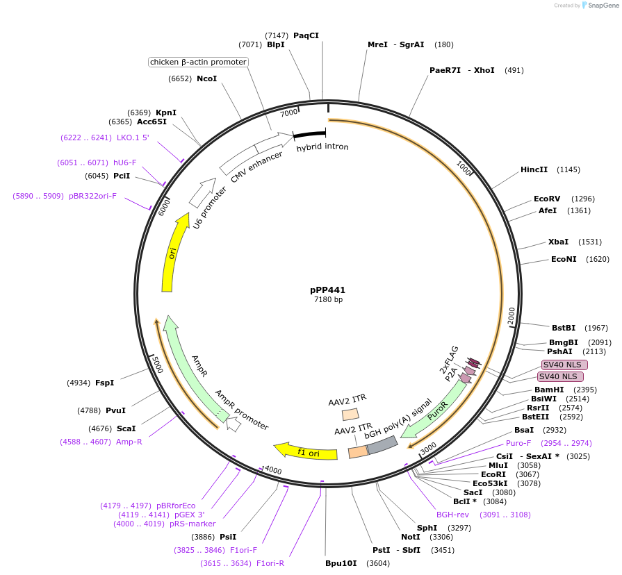 306502_map