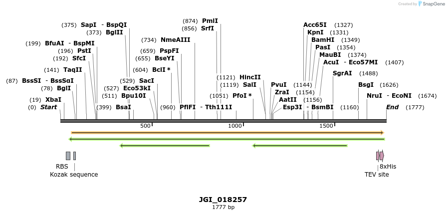 306516_map