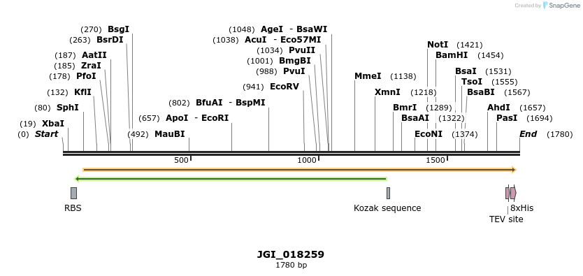 306517_map