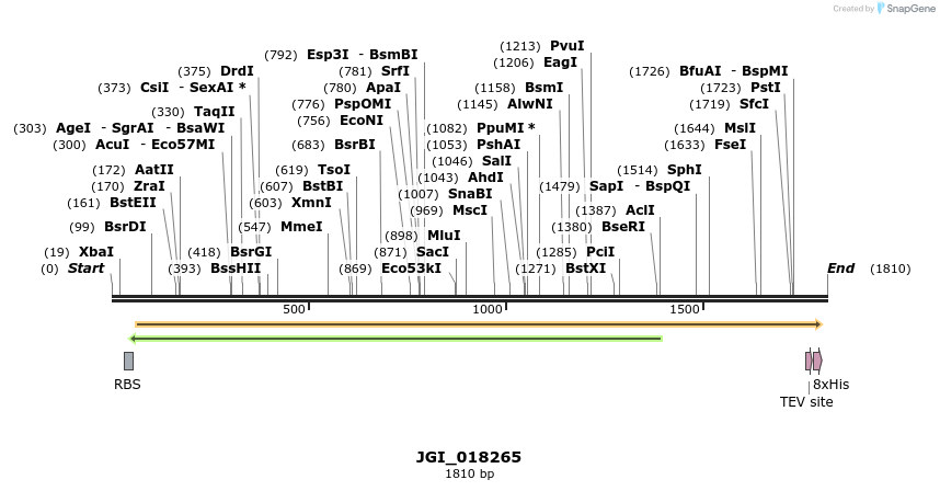 306520_map