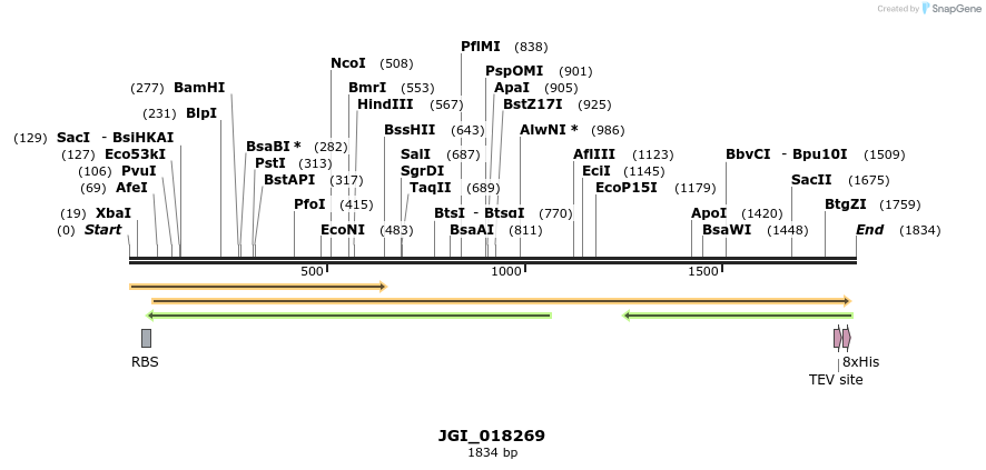 306522_map