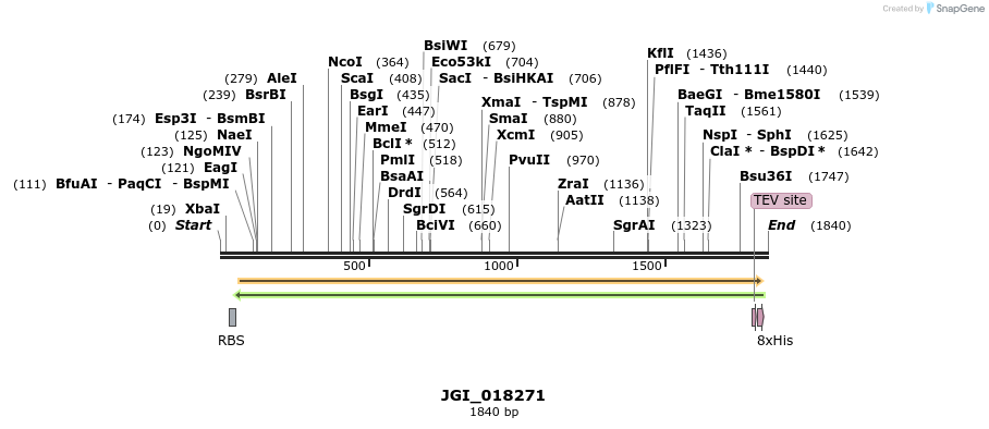 306523_map