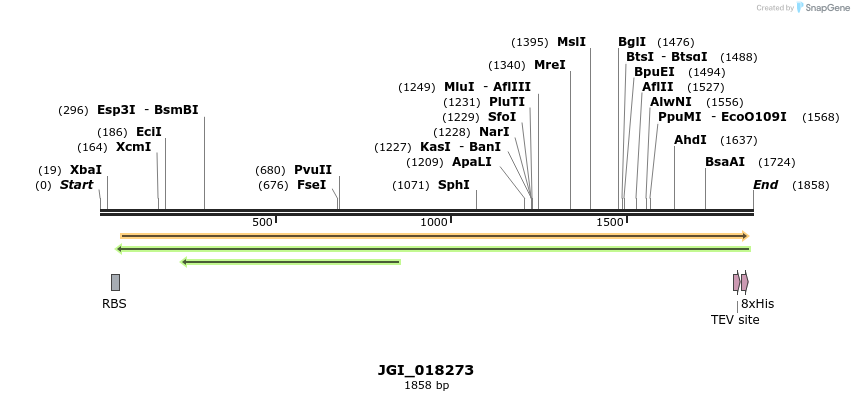 306524_map