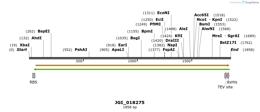 306525_map