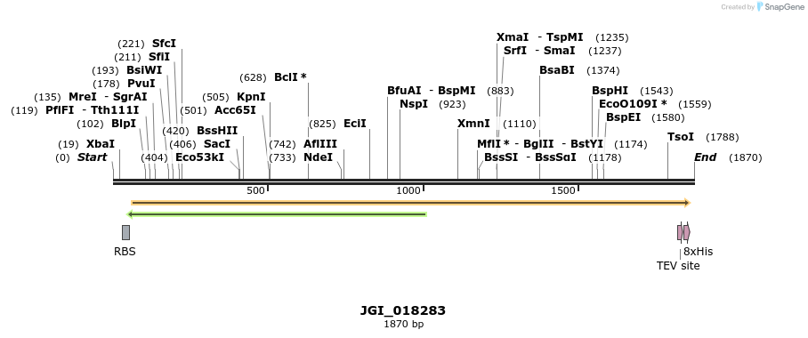306529_map