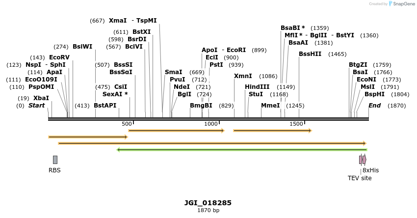 306530_map