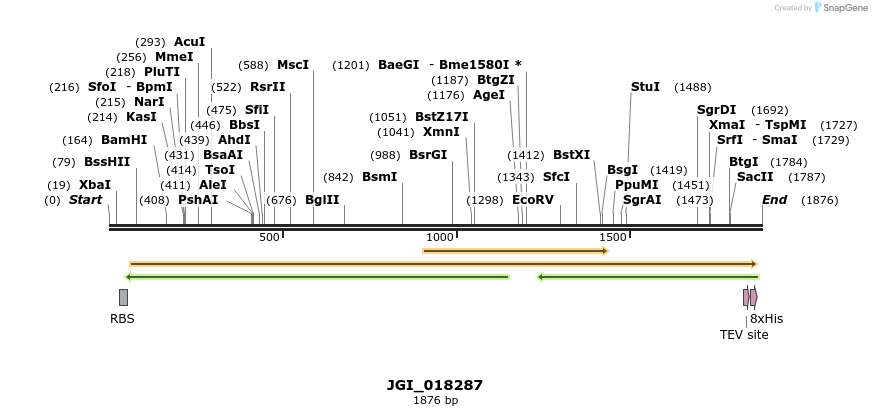 306531_map