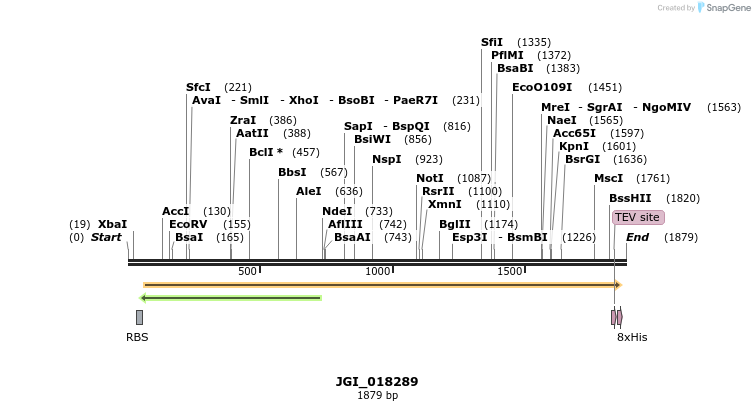 306532_map