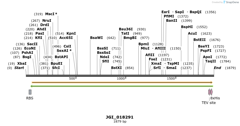 306533_map