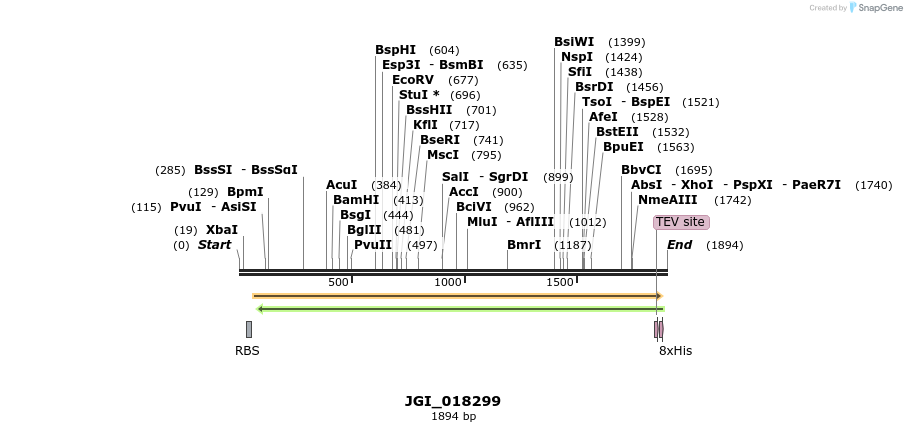 306537_map
