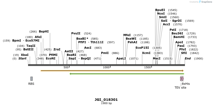 306538_map