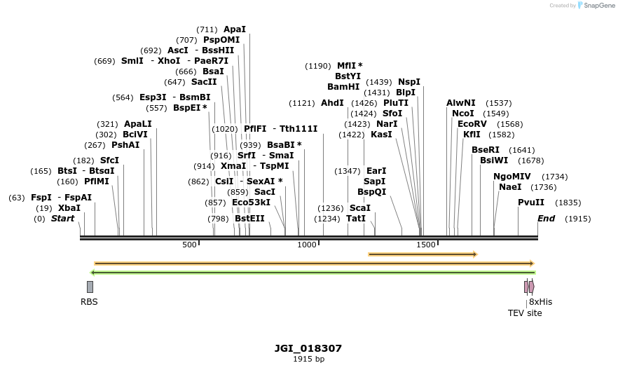 306541_map