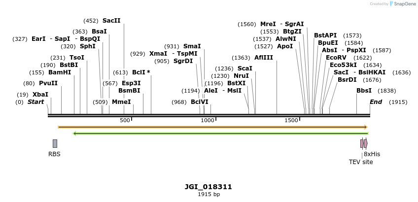 306543_map