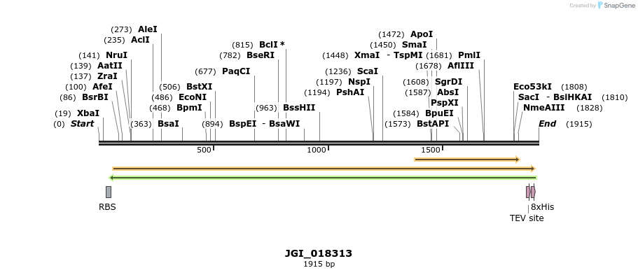306544_map