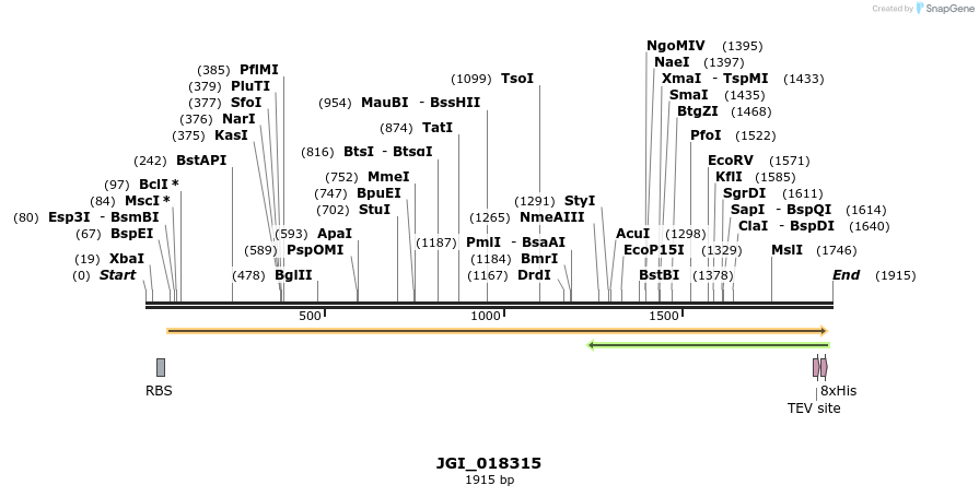 306545_map