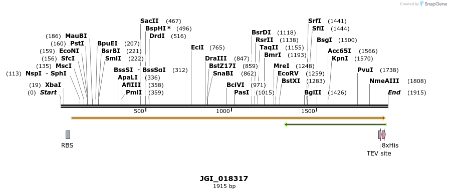 306546_map