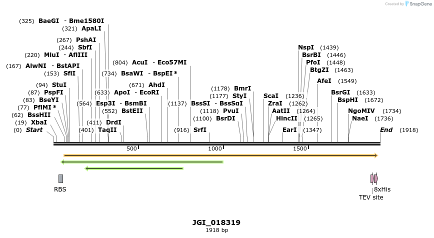 306547_map