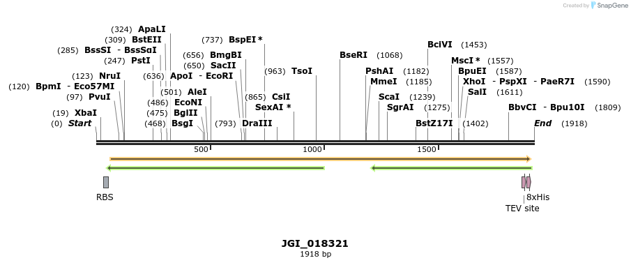 306548_map