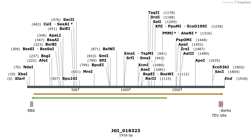 306549_map