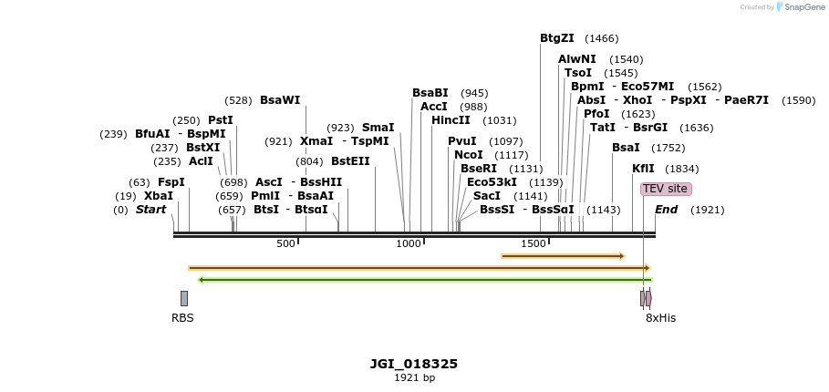 306550_map