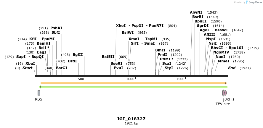 306551_map