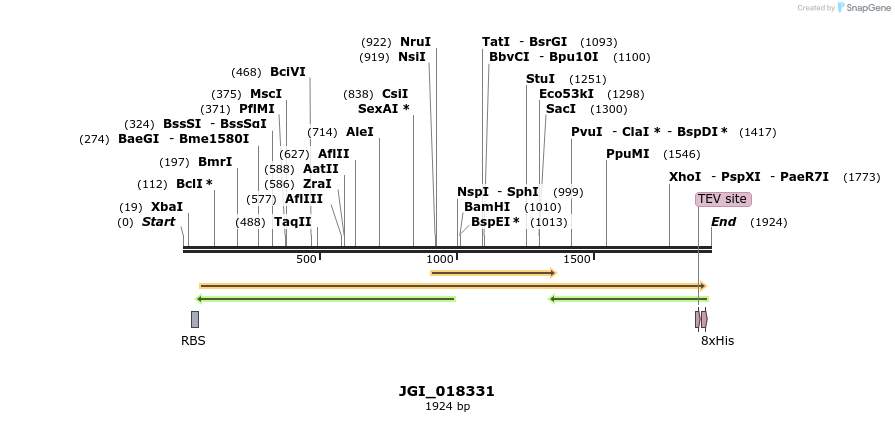 306553_map