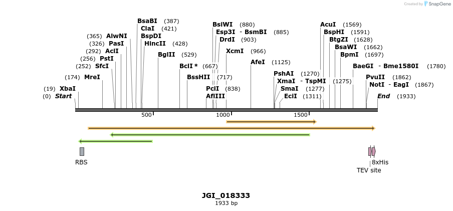 306554_map