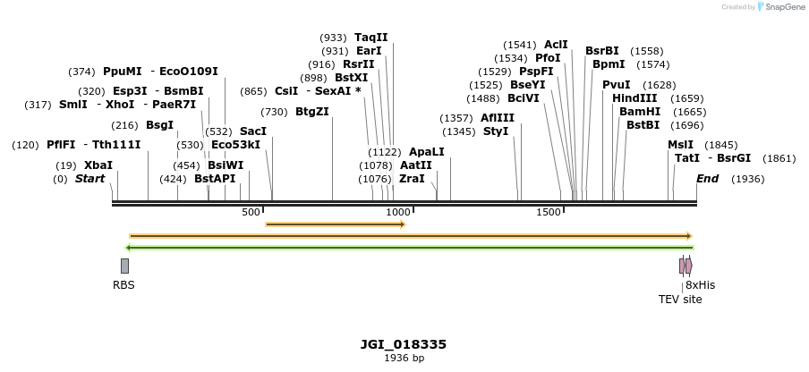 306555_map