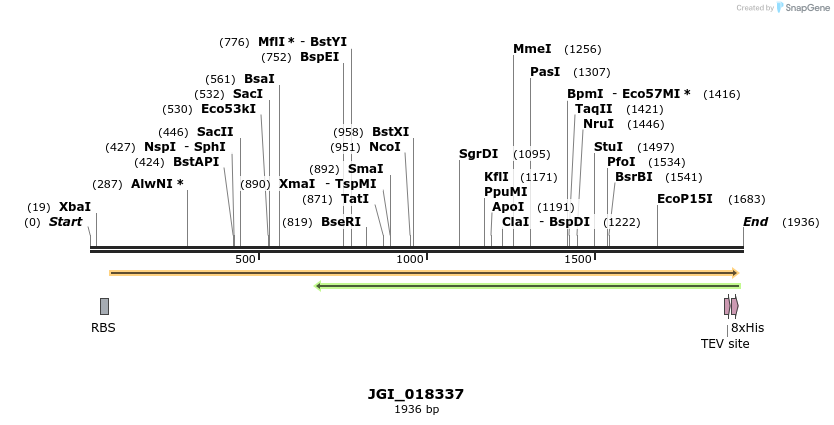 306556_map