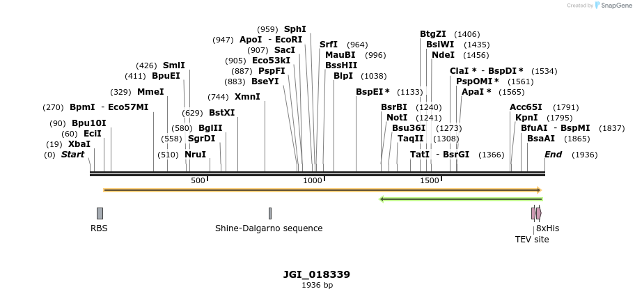 306557_map