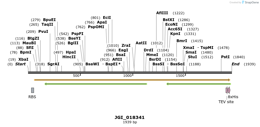 306558_map
