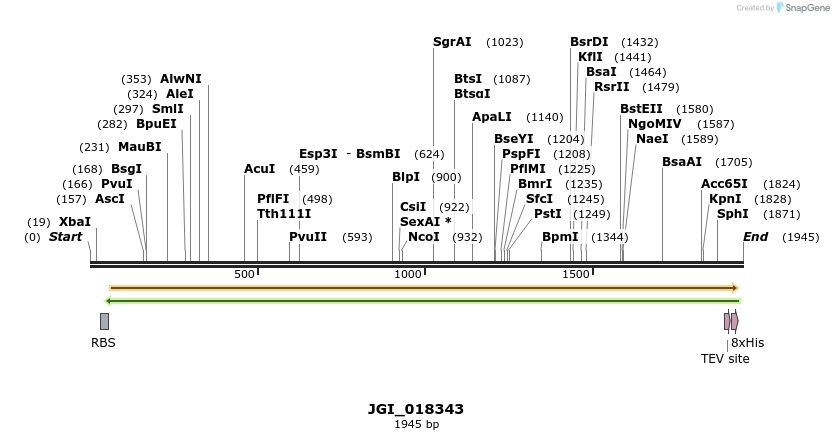 306559_map