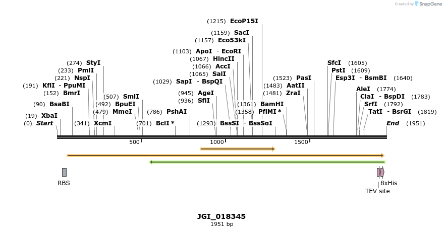 306560_map