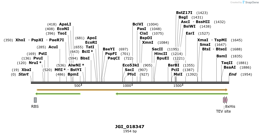 306561_map