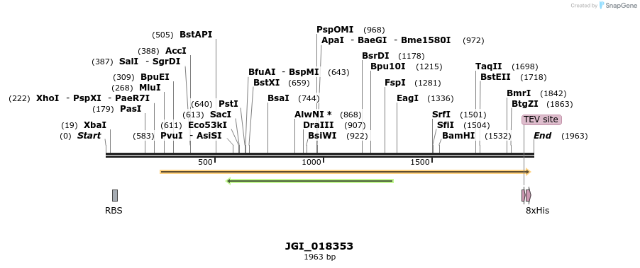 306564_map