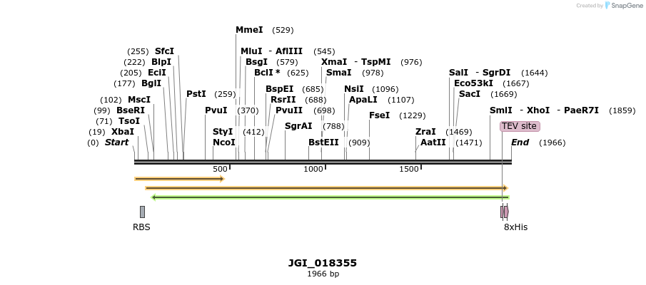 306565_map