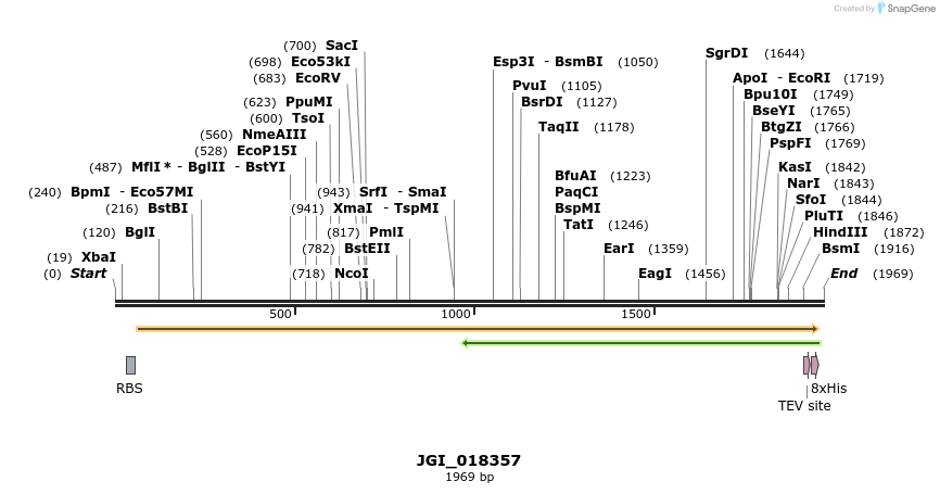 306566_map