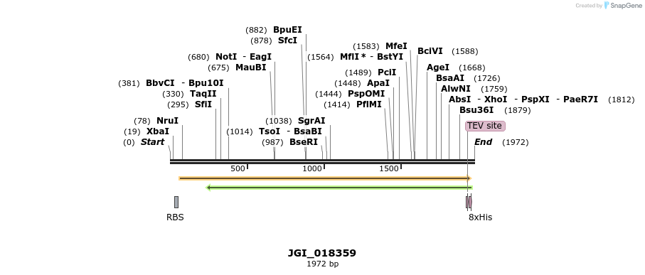 306567_map