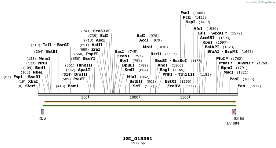 306568_map