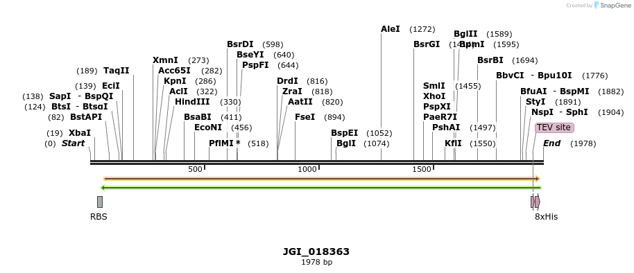 306569_map