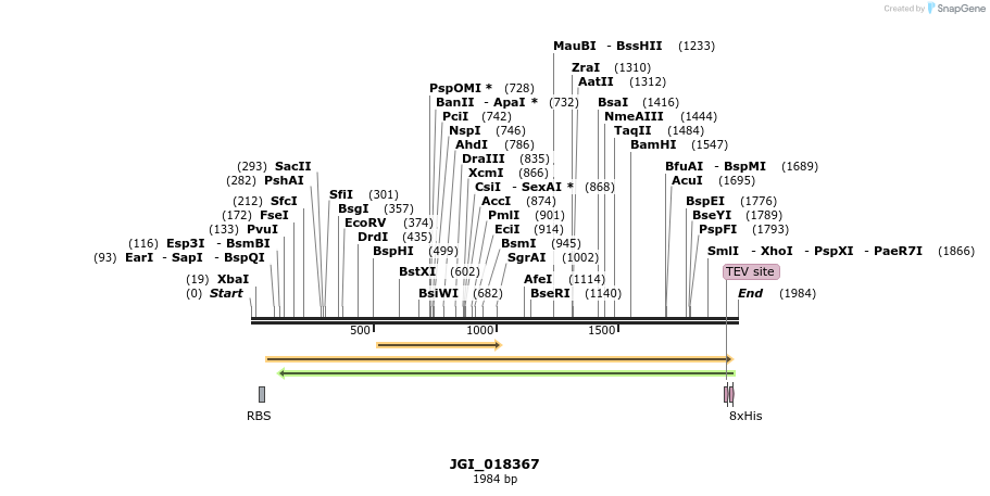 306571_map