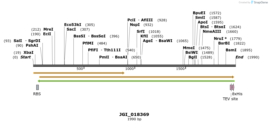 306572_map