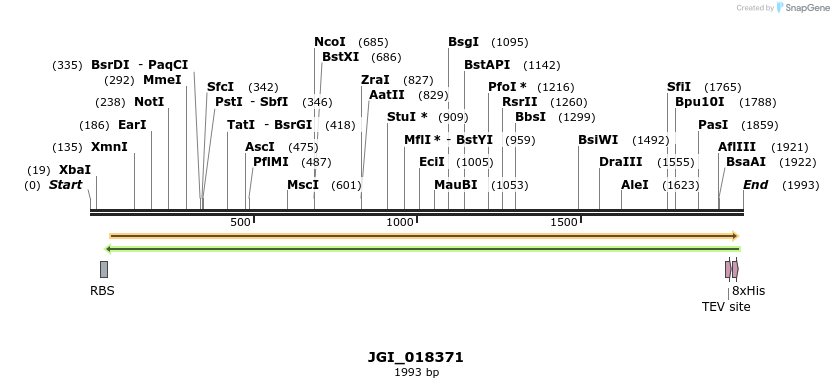 306573_map