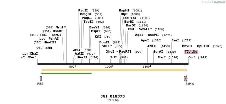 306574_map