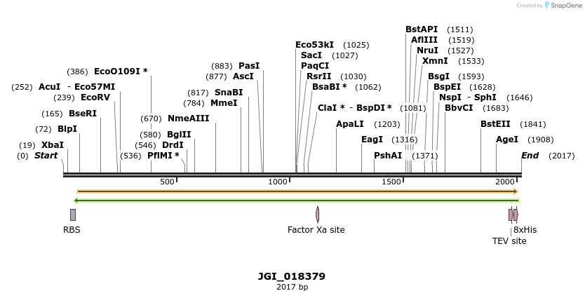 306577_map